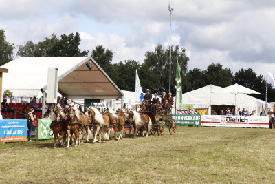 Tarmstedter Ausstellung