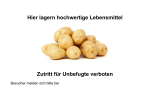 Schild